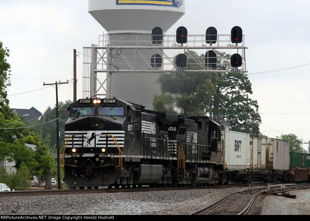 NS 9677 leads train 213 